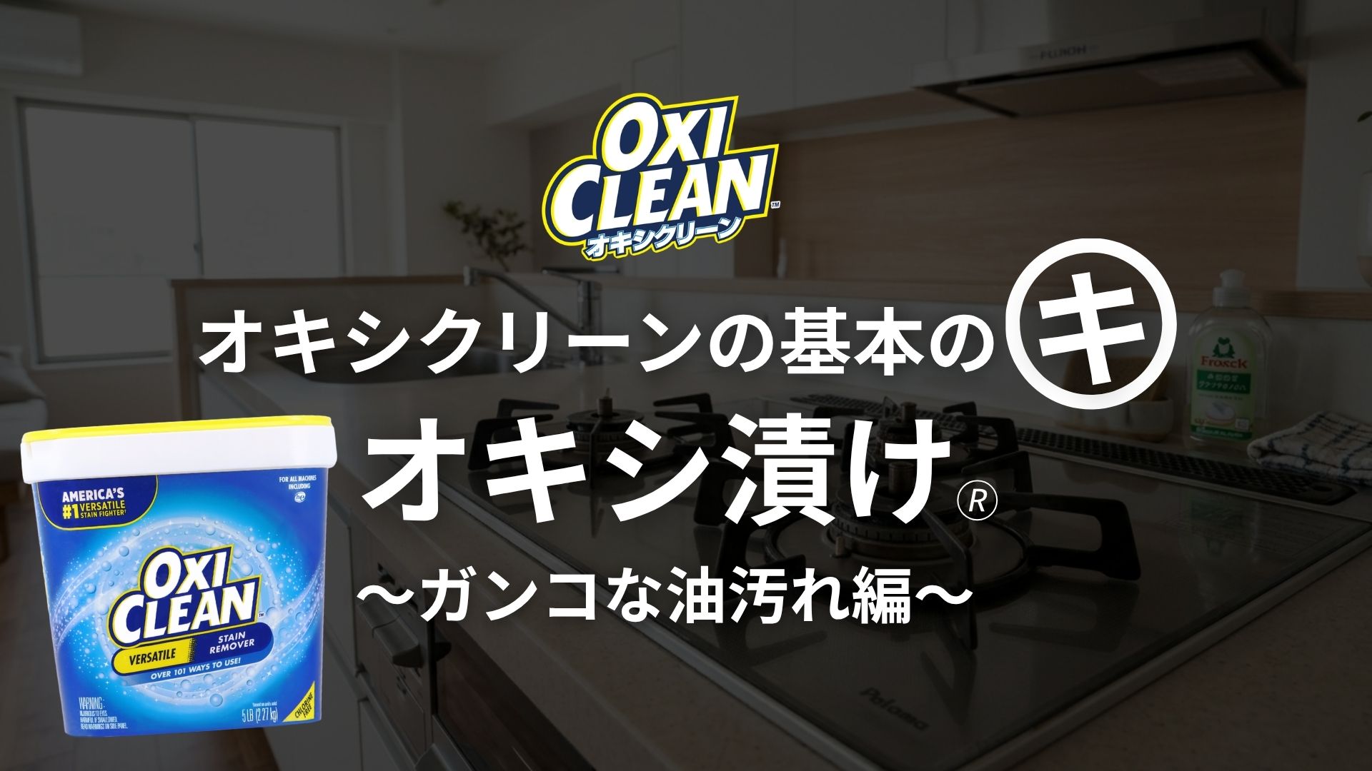 Amazon.co.jp: 【EC専売品】オキシクリーン EX 2270g しみ抜き剤 粉