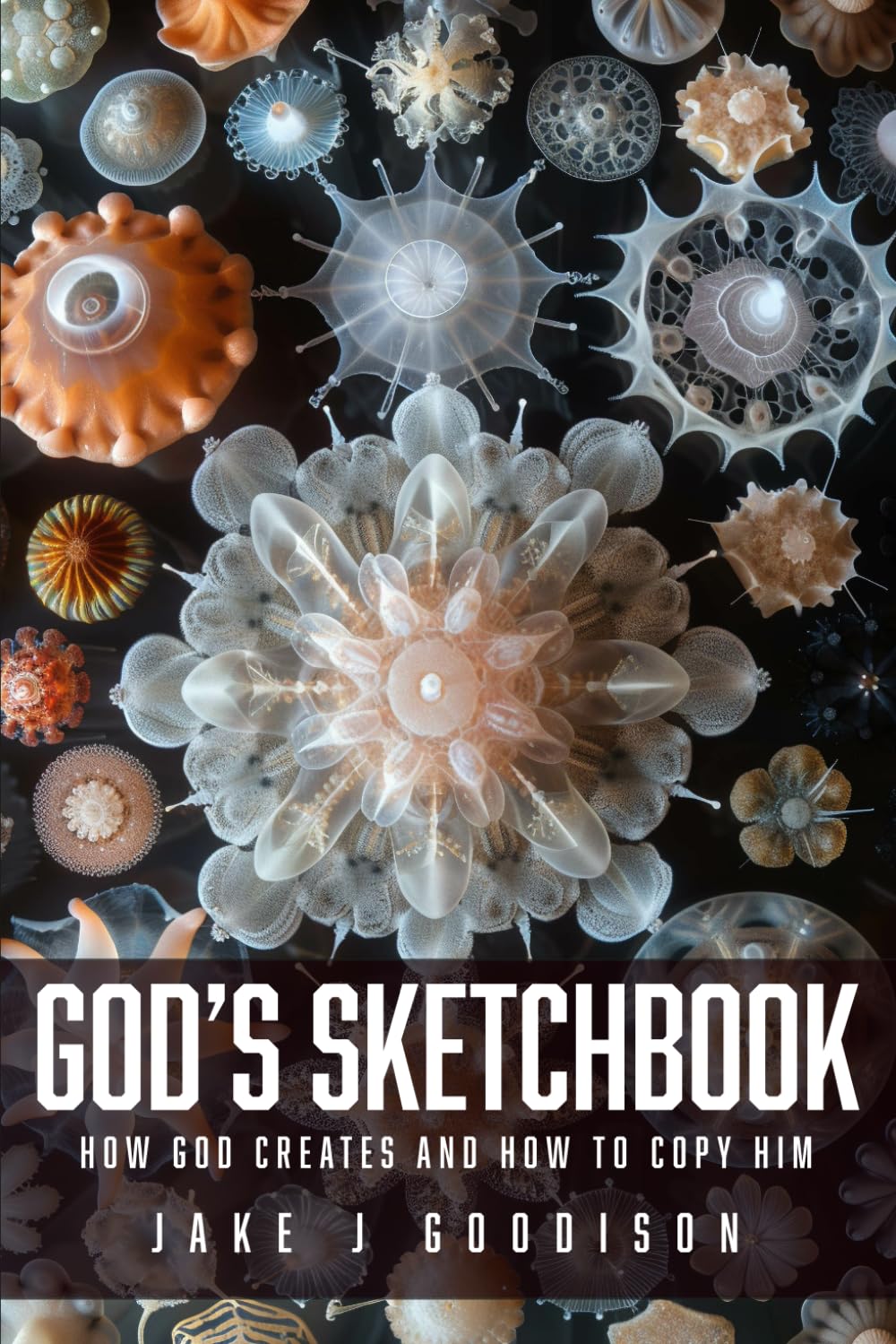 God's Sketchbook: How God Creates And How To Copy Him