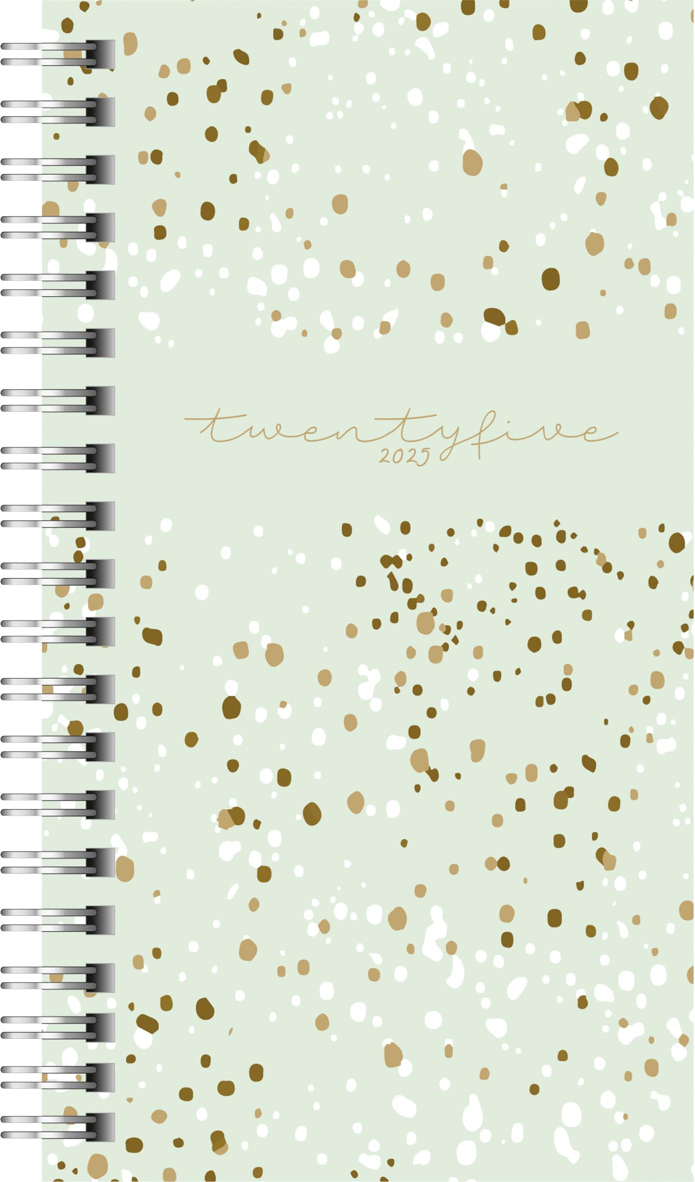rido/idé Pocket Diary Model Timing 2 (2025) "Confetti", 2 Pages = 1 Week, A6, 176 Pages, PP Cover, Mint, Green