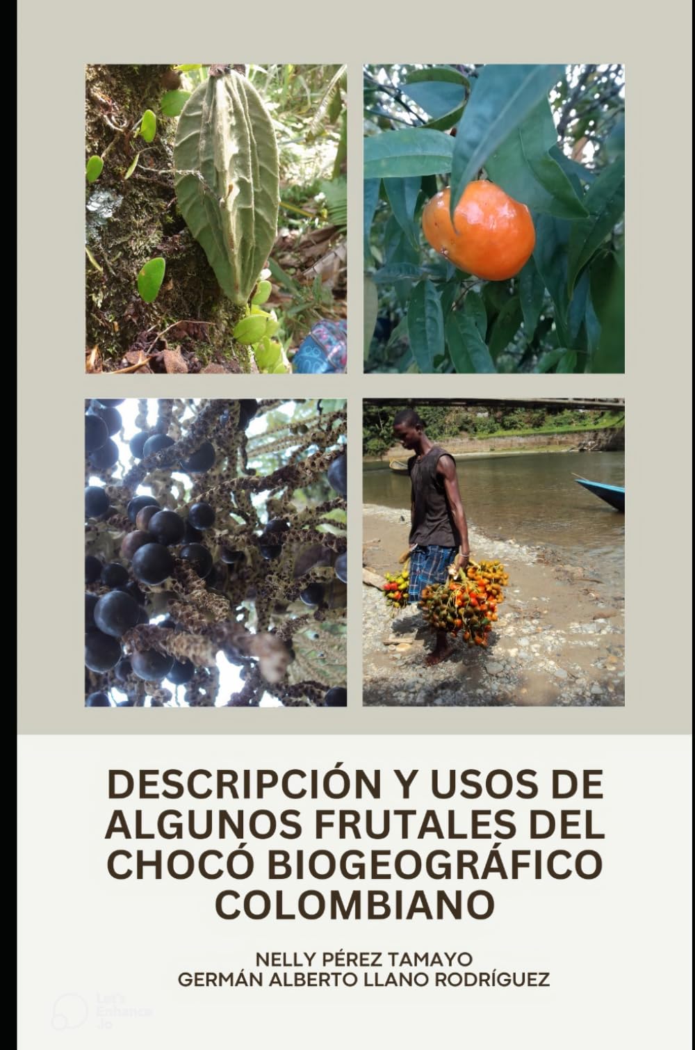 DESCRIPCIÓN Y USOS DE ALGUNOS FRUTALES DEL CHOCÓ BIOGEOGRÁFICO COLOMBIANO (Spanish Edition)