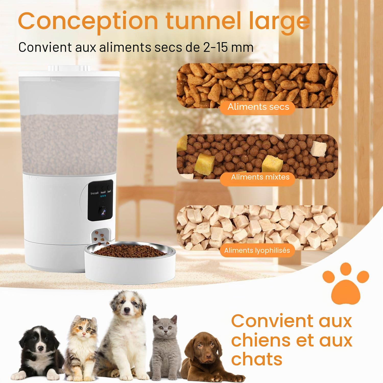 Mangeoire automatique pour chat avec caméra 2K, application intelligente, distributeur de nourriture de 6 L, repas minutés, Wi-Fi 2,4 G/5 G