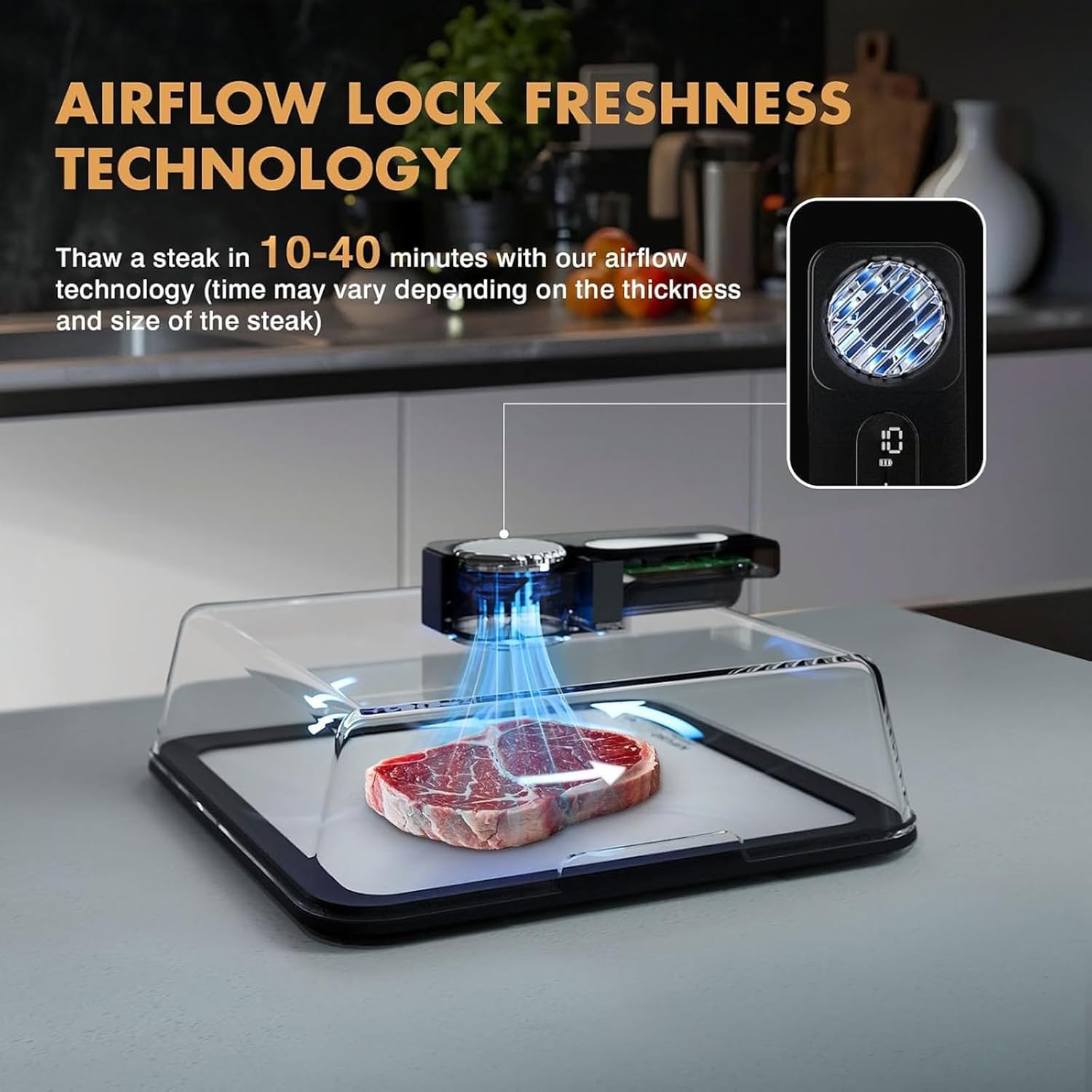 Scongelamento elettrico da 4,2 l, vassoio per scongelamento della carne, scongelamento rapido 10 minuti, ricaricabile USB 2000 mAh, non necessita di acqua per bistecca surgelata, pollo, pesce