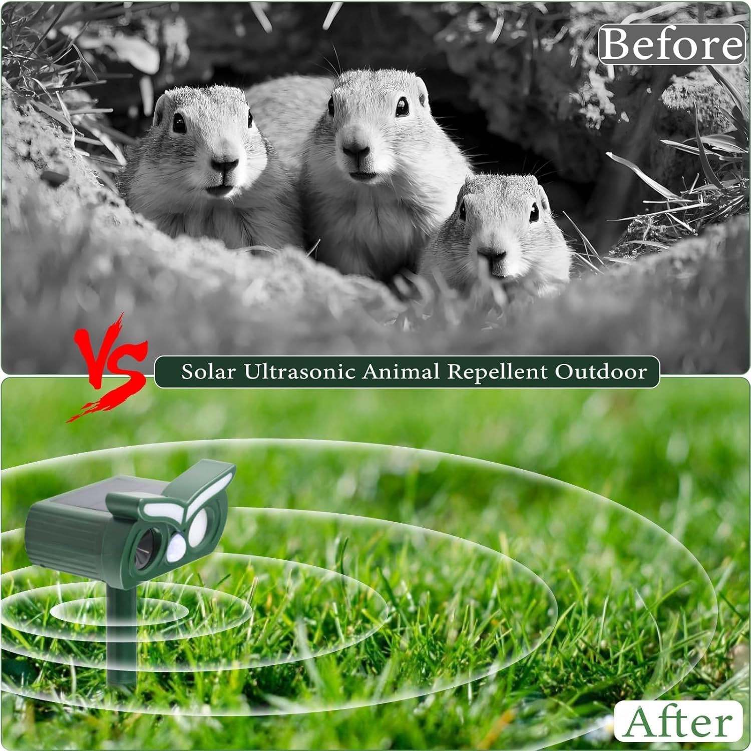 4Pack Cat Repellent Outdoor,Solar Ultrasonic Animal Repellent Outdoor Deer Repellent Devices with Motion Detection&Flash Light Squirrel Rabbit Dog Deterrent,Keep Rodent Chipmunk Raccoon Away for Yard