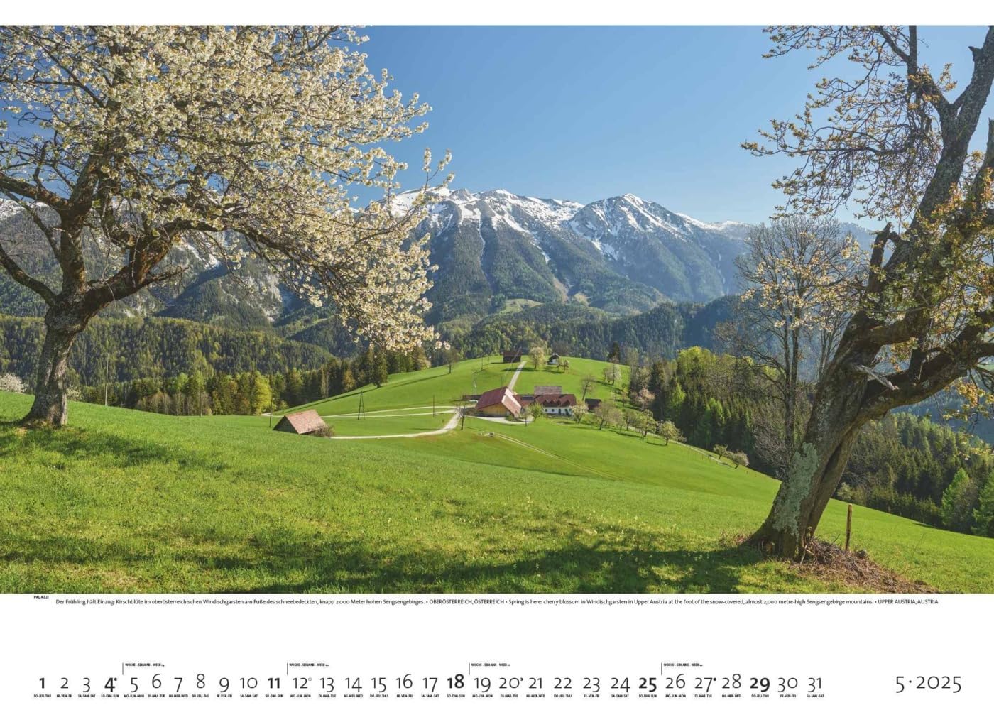 PALAZZI - Faszination Alpen 2025 Wandkalender, 70x50cm, Posterkalender mit majestätischen Alpenlandschaften, hochwertige Fotografie, Erkundung der Bergwelt