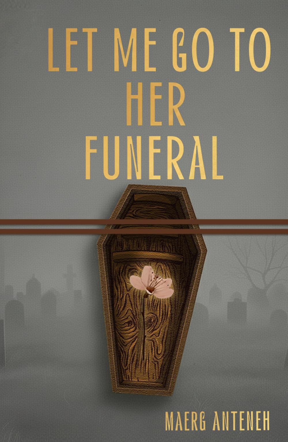 LET ME GO TO HER TO FUNERAL: Psychological thriller