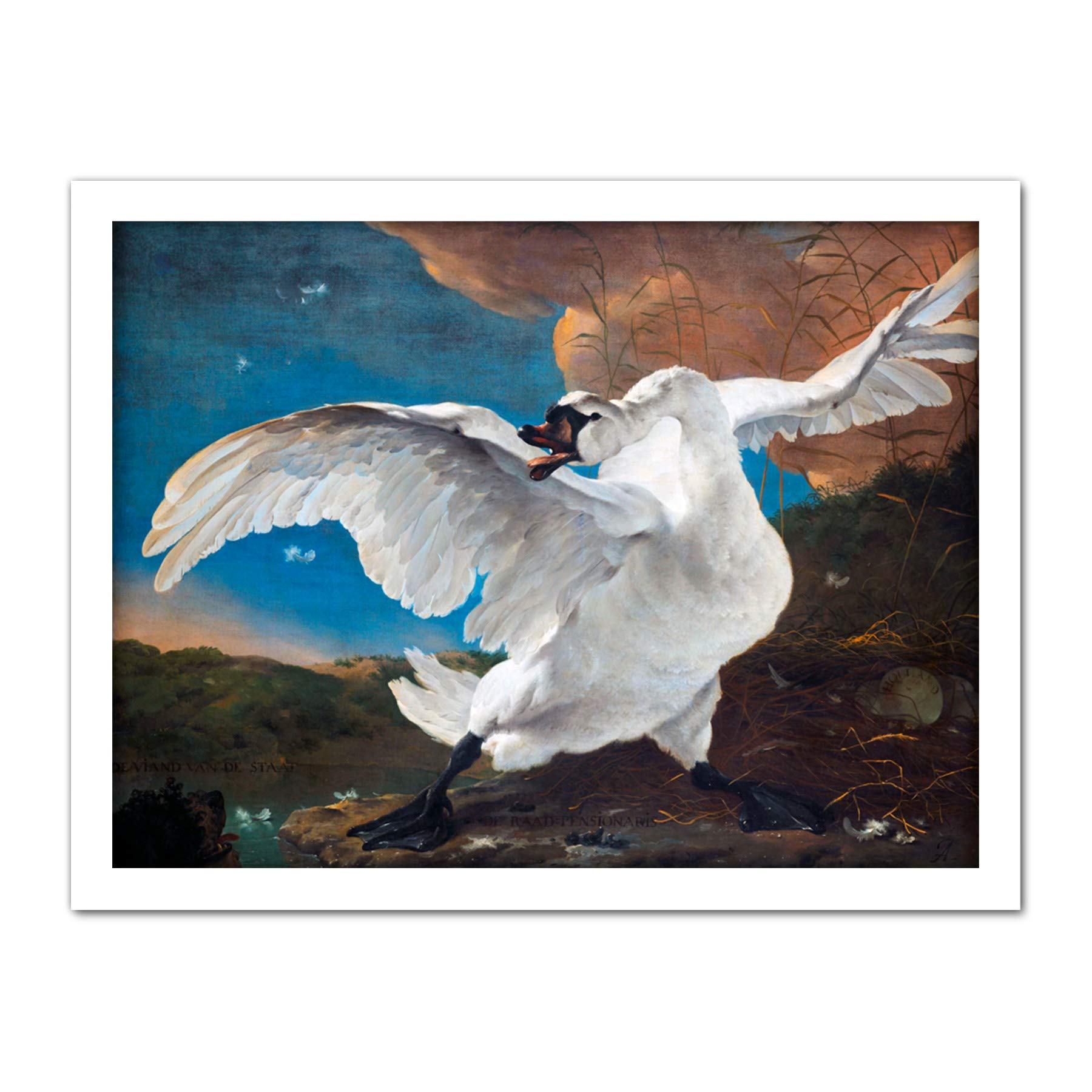 Artery8 Asselijn Threatened Swan Painting Artwork Framed Wall Art Print 18X24 Inch