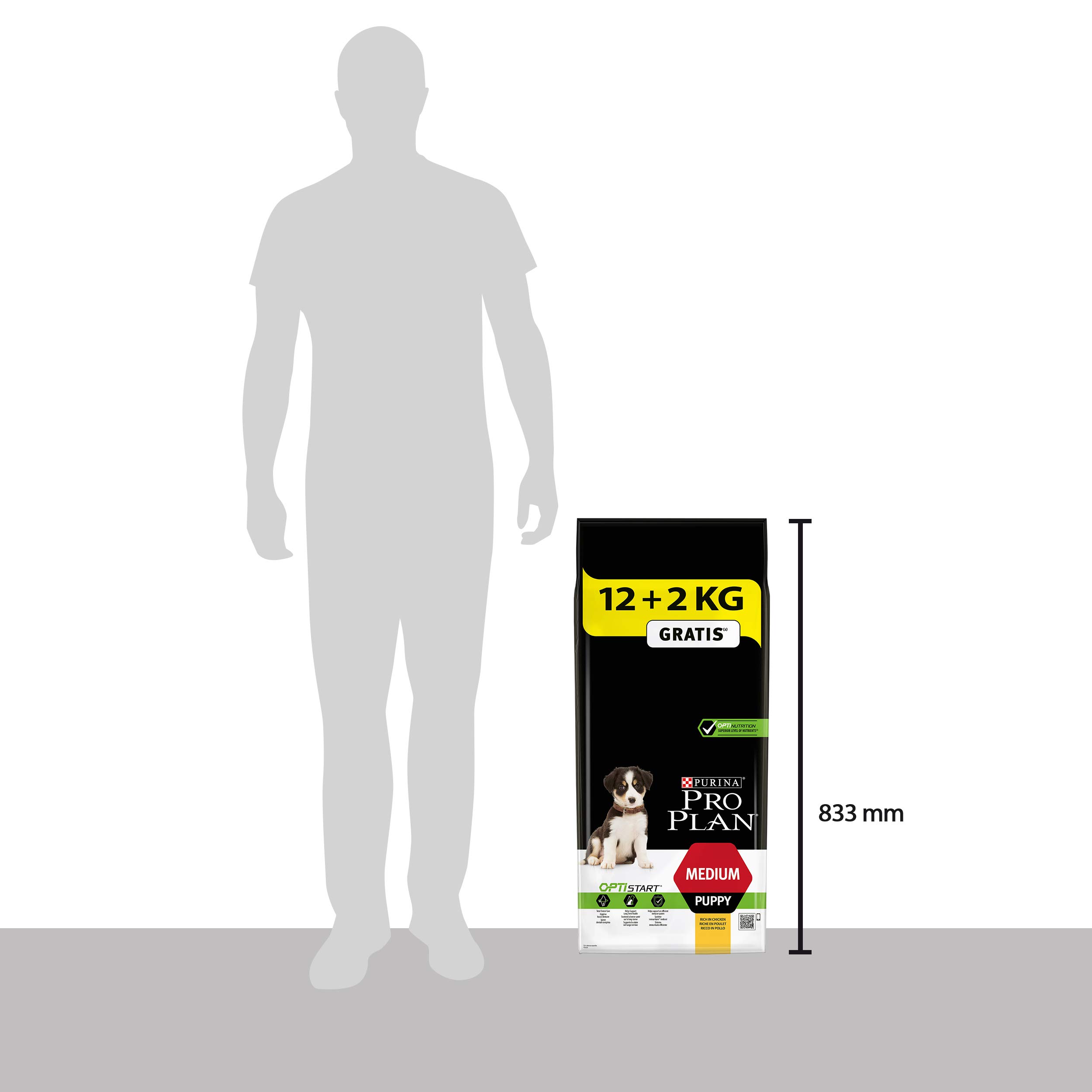 Pro Plan Dog Medium Puppy Hund, Huhn und mit Reis, Trockenfutter Beutel 12 kg + 2 kg gratis, 1er Pack (1 x 14 kg)