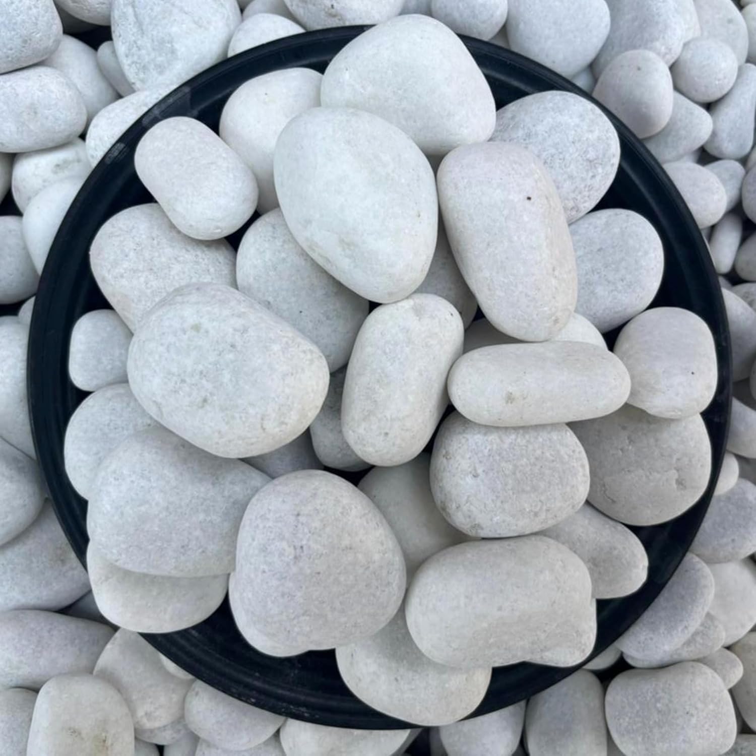 Foodie Puppies Unpolished White Stones (2.5Kg, Large) (5cm–7cm) I Natural Decorative Rocks for Aquariums, Fish Tanks, Swimming Pools, Garden, Lawns & Outdoor Decoration-image-19