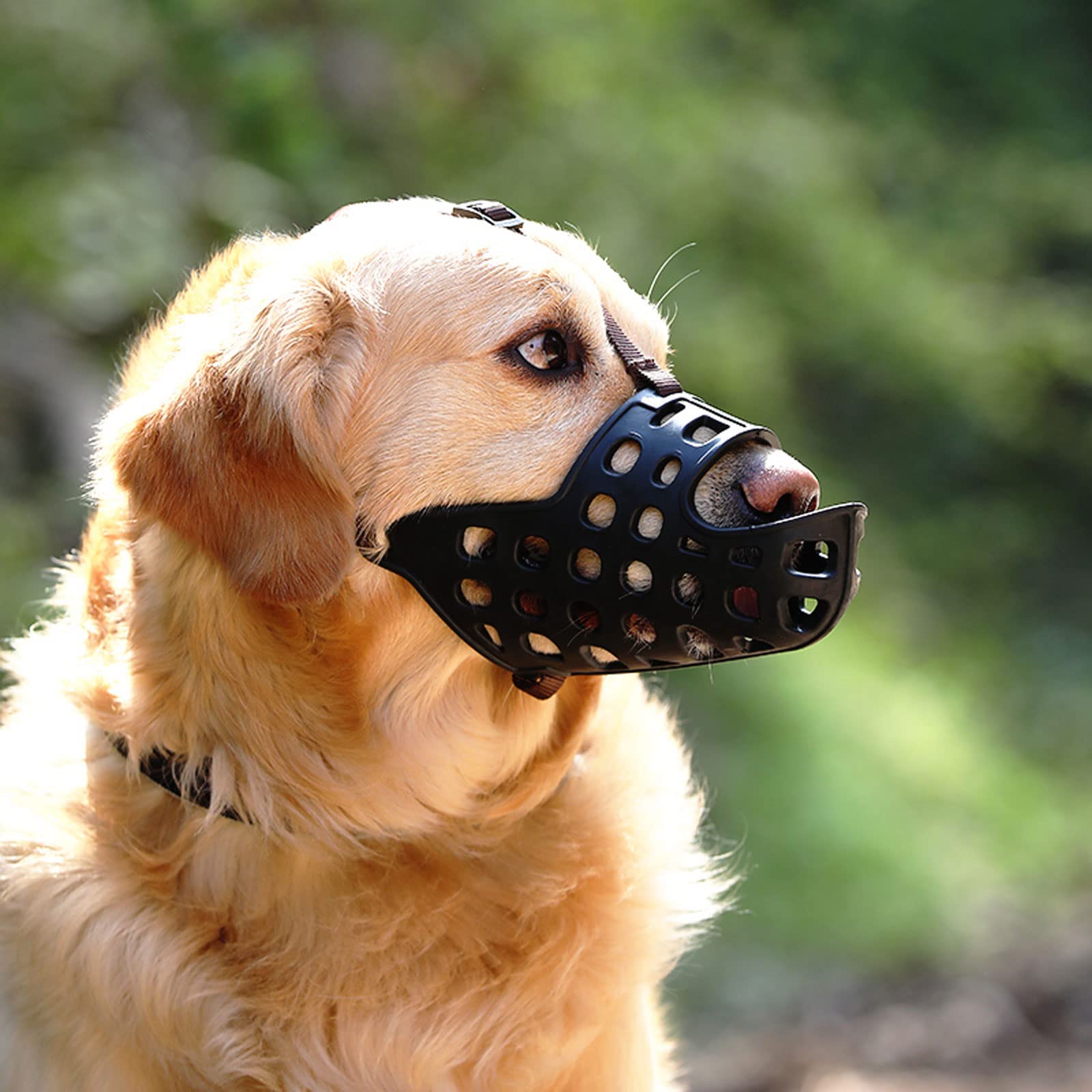 Bozal Perro, Bozal Perro Ajustables, Bozal Entrenamiento, Bozal Perro Transpirabl, para Perros Pequeños Medianos, Anti-mordedura Bozal para Perros para Evitar Ladridos.-Gray||L