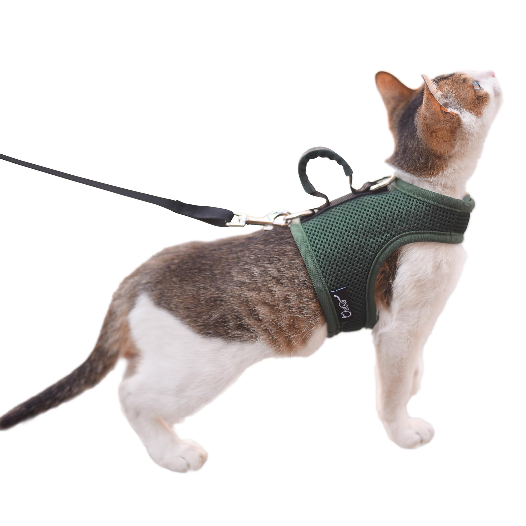 Cat Harness and Leash Set for Walking Escape Proof, Green, Medium