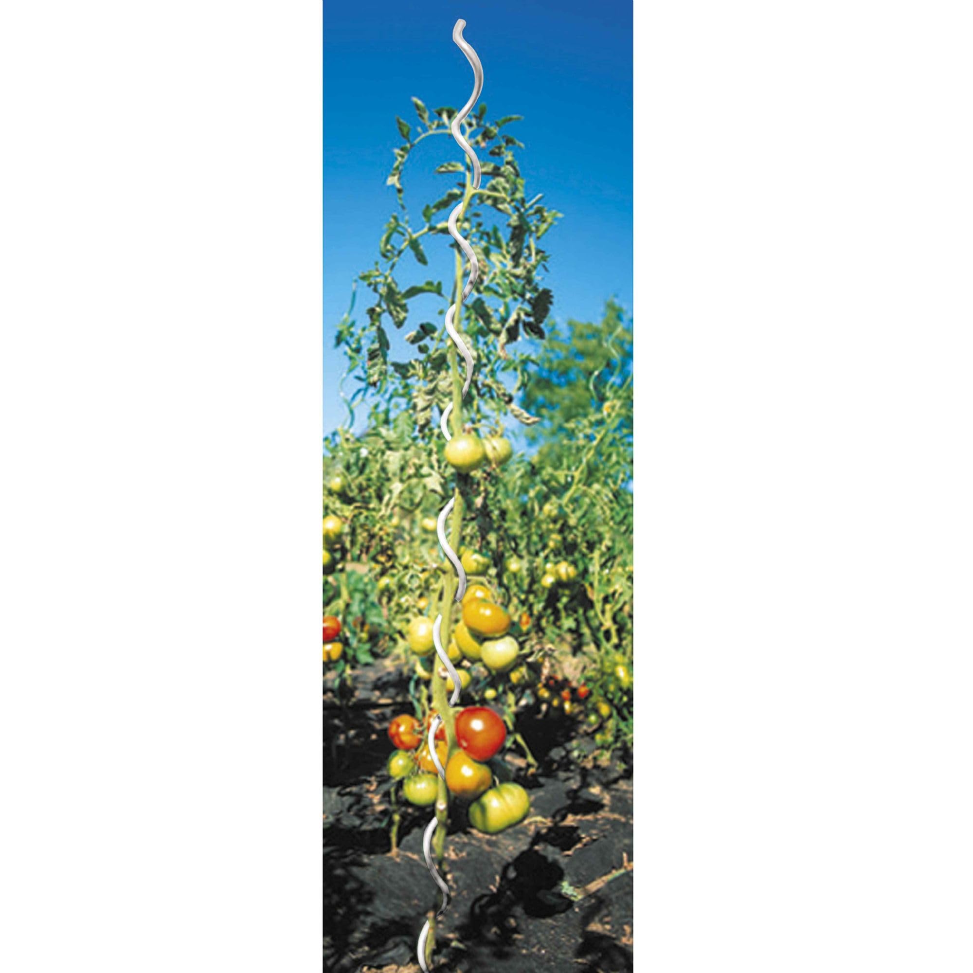 WERKA PRO Lot 5 Tuteurs Spirales 1,8m en Acier