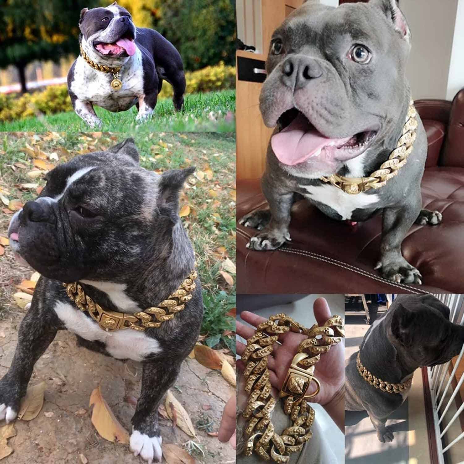 Amazon.com : SHQIN Gold Dog Chain Collar, Stainless Steel Training