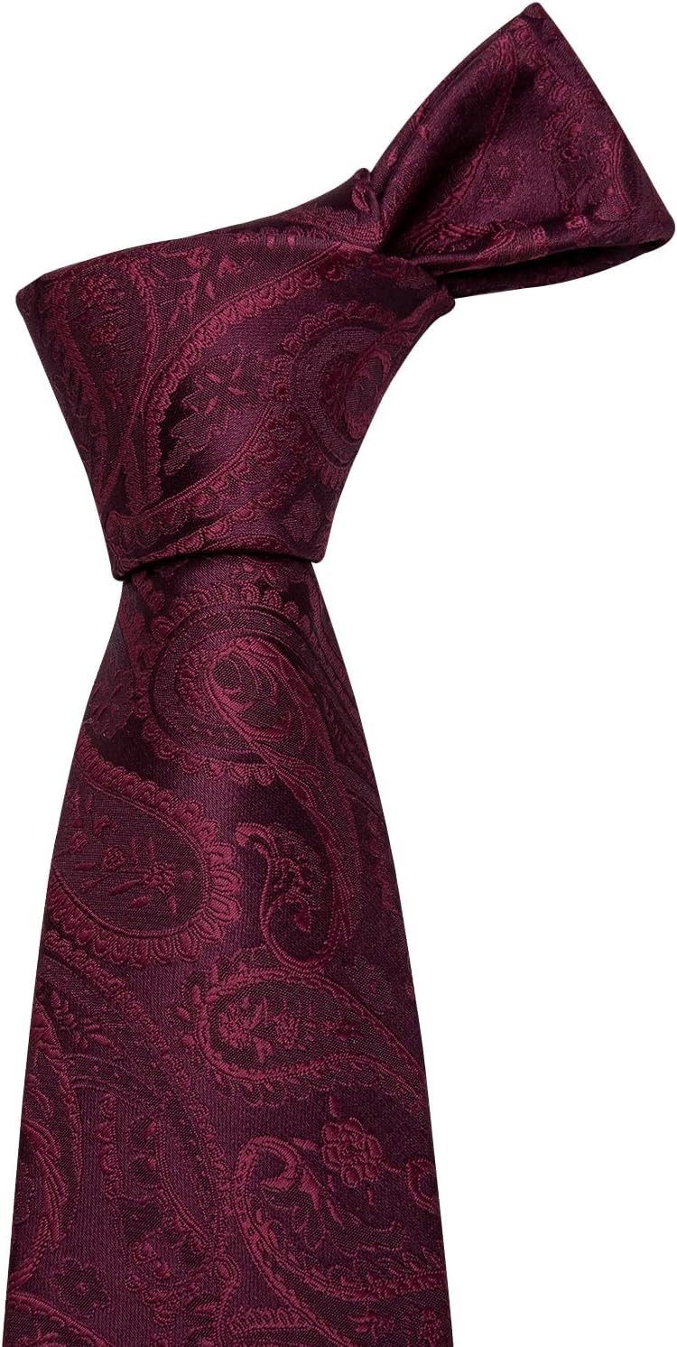 YOHOWA Mens Ties Set Wedding Paisley Neckties with Handkerchief Cufflinks Formal Business - Image 4