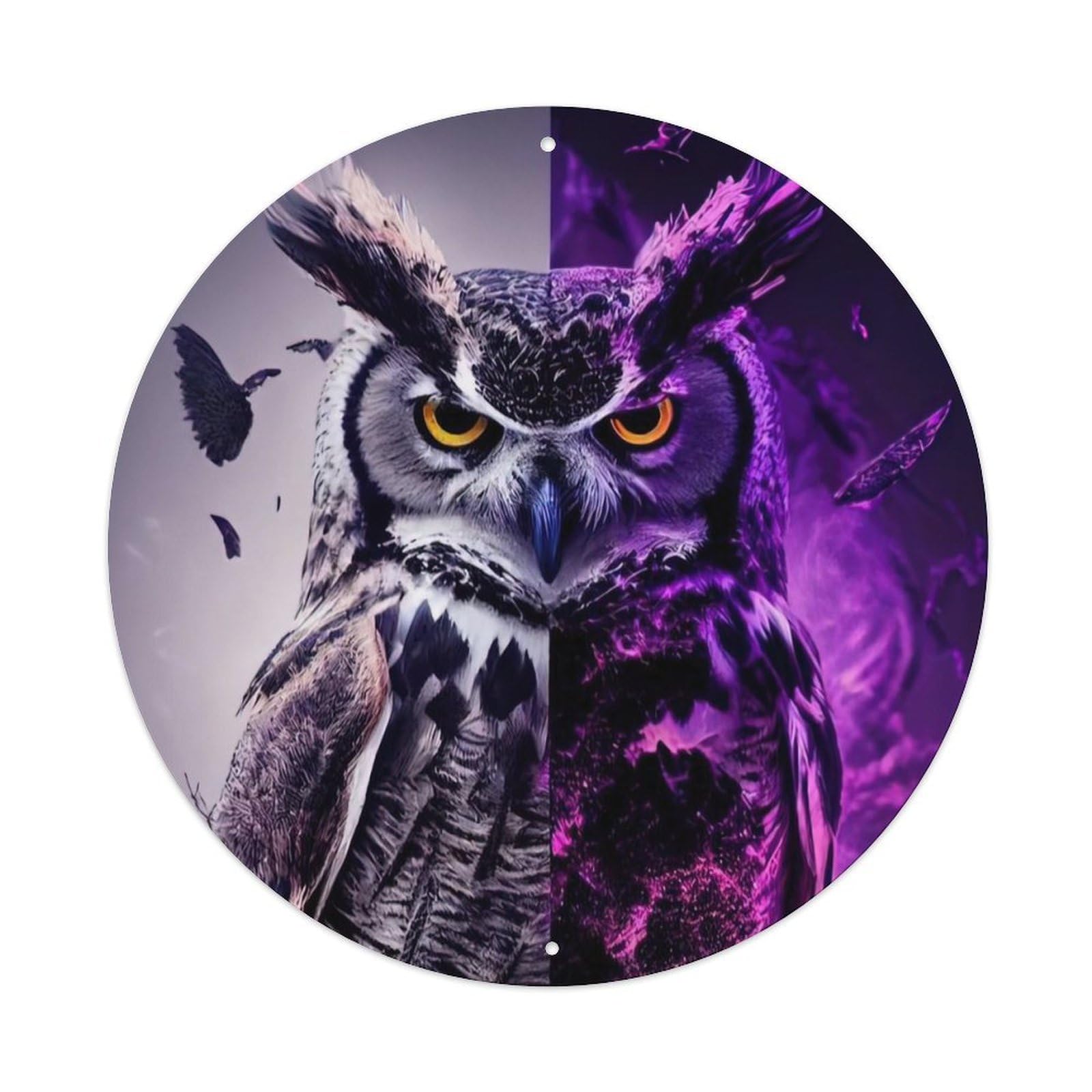 Animal The Magic Owl Metal Tin Sign