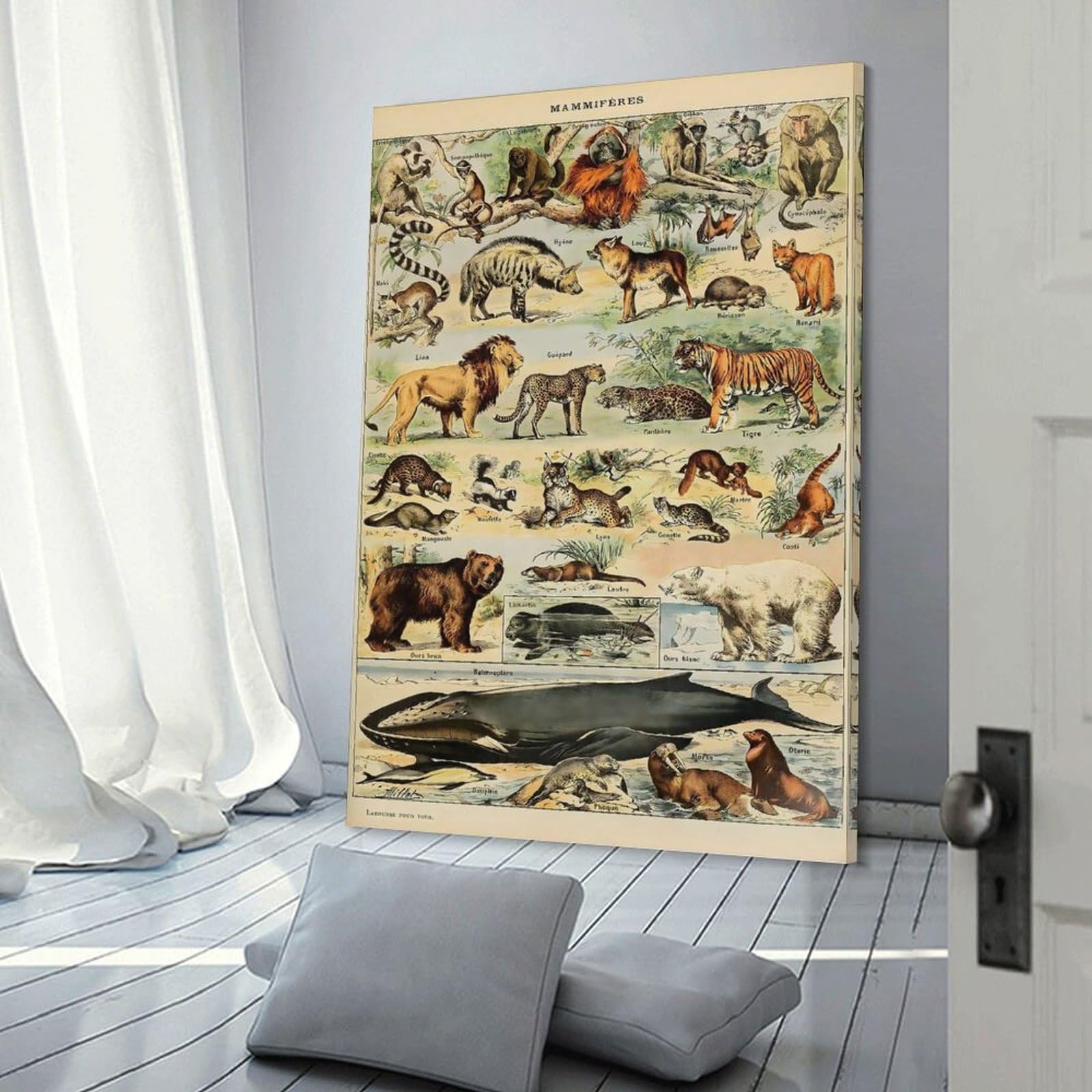 Junmoney Adolphe Millot Mammals V2 Wall Art Print, 20x30inch(50x75cm), for Office, Study Or Home Workspace, Decorative Artwork for Productive Spaces