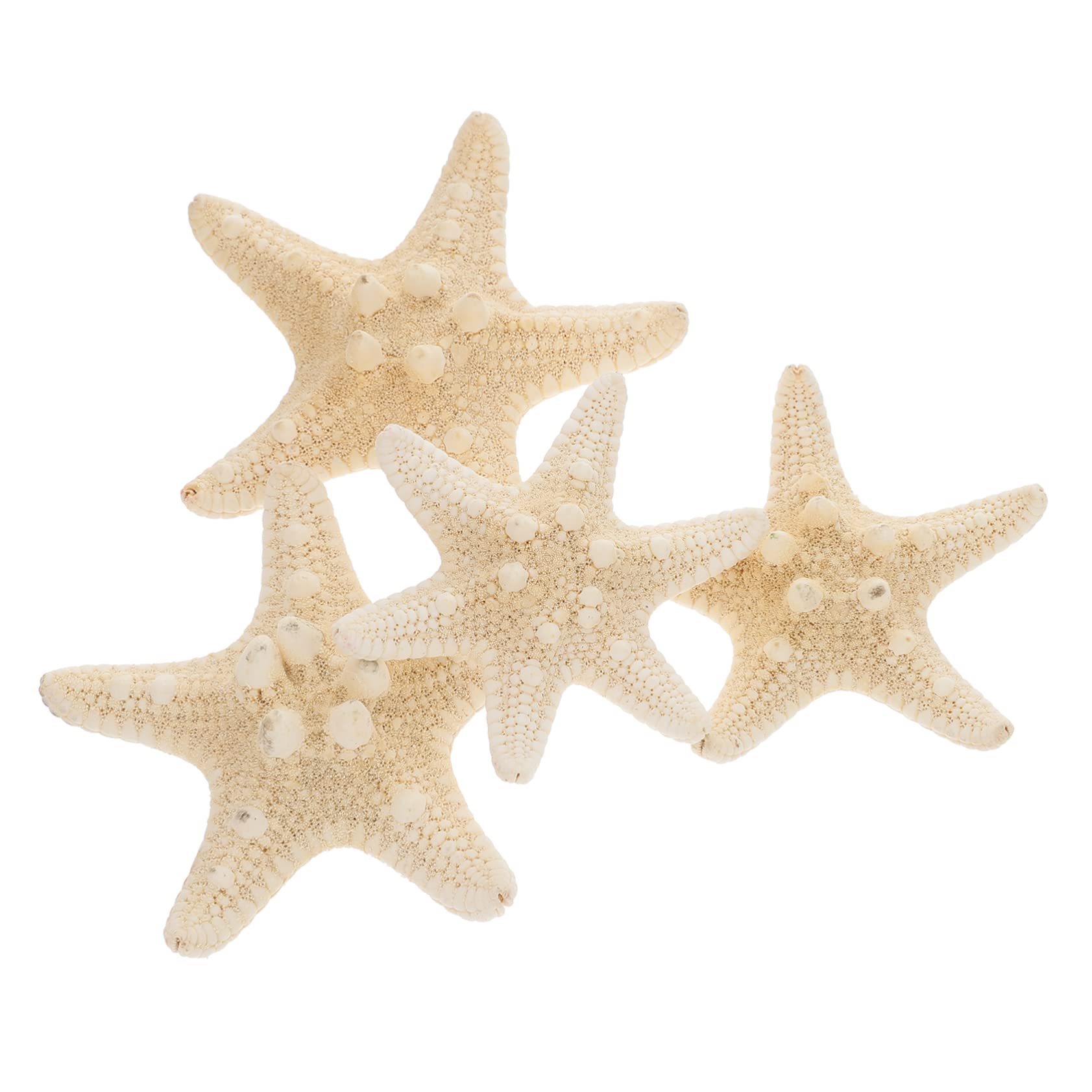 BCOATH 4pcs Natural Decorative Ornaments Sea Shells for Decorating Accessories Centerpiece Table Decorations Wall Decor Home Decor