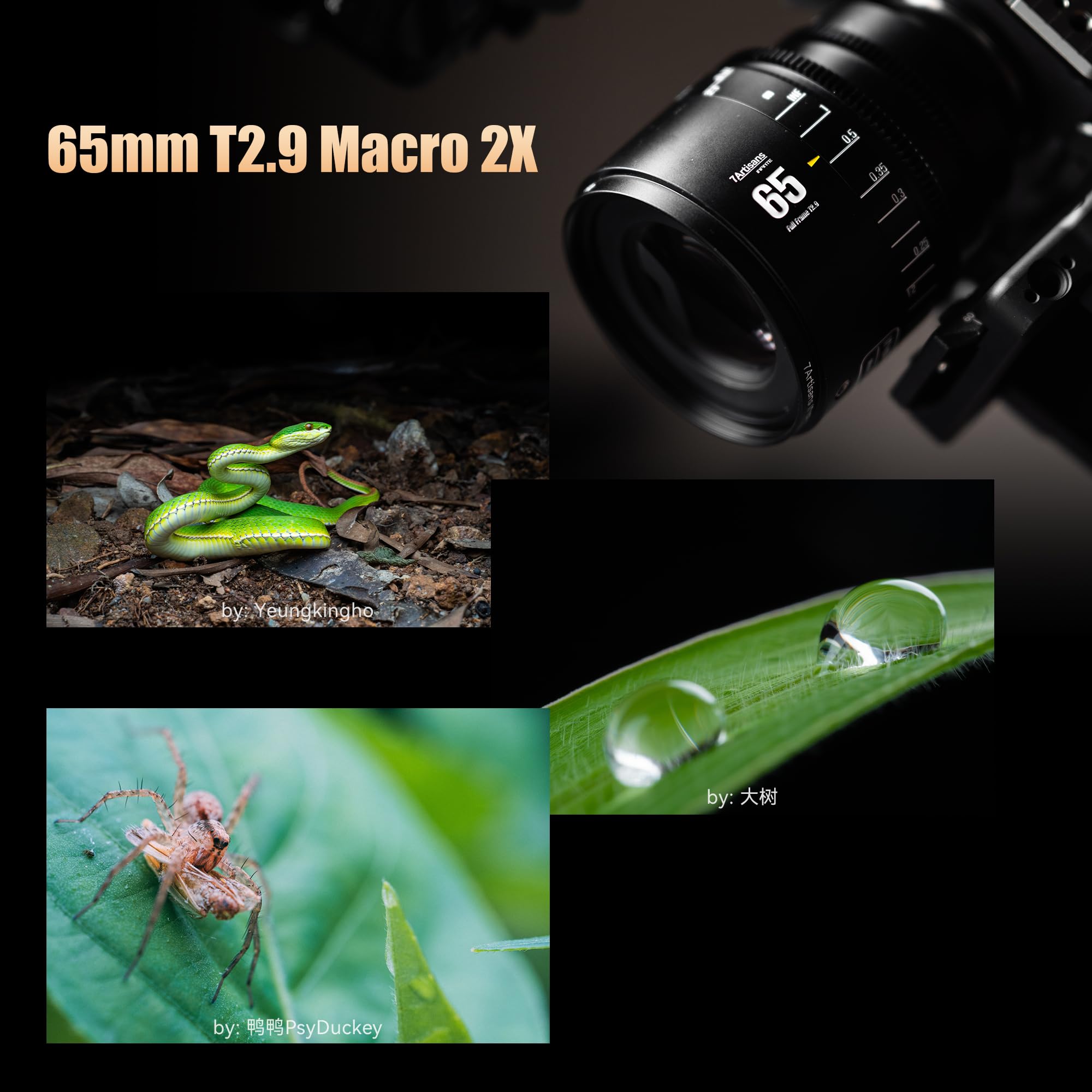 Objectif cinéma Plein Format 7artisans MF65mm T2.9 Macro 2X Infinte Series, Grande Ouverture Compatible avec Les appareils Photo Hybrides Canon EOS-R à Monture R1,R3,R5,R52,R6,R62,R8,R,RP,R7,R10,R50