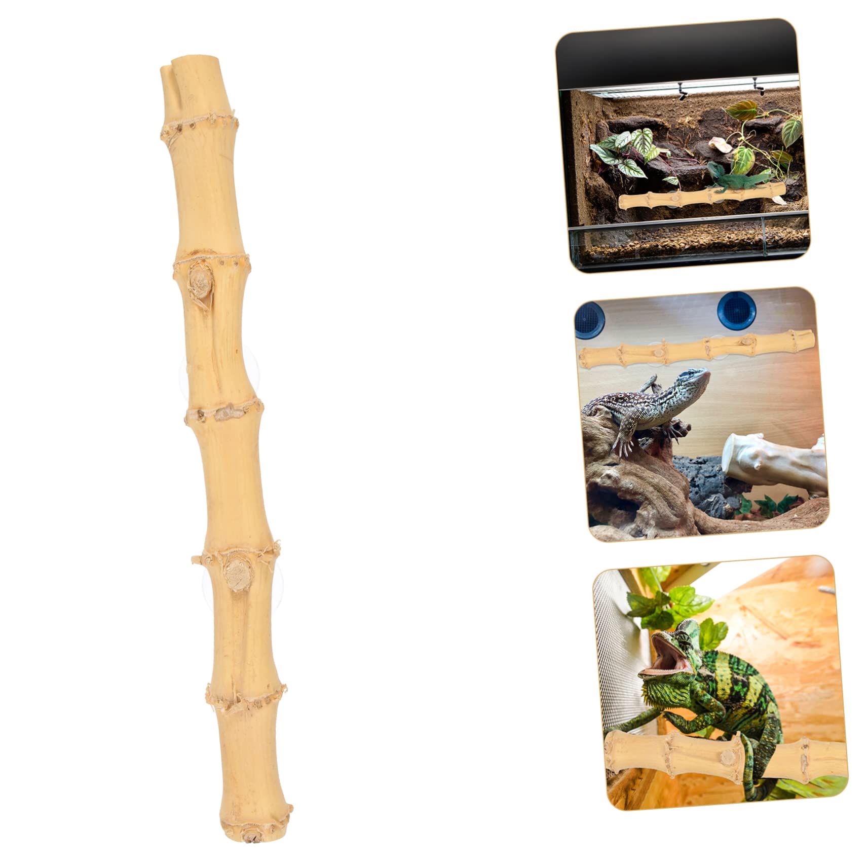 Mipcase 4piezas Soporte Decorativo para Terrarios De Dragón Barbudo Juguete De Escalada De Madera Ventosa para Reptiles Accesorio para Crear Un Saludable y Divertido