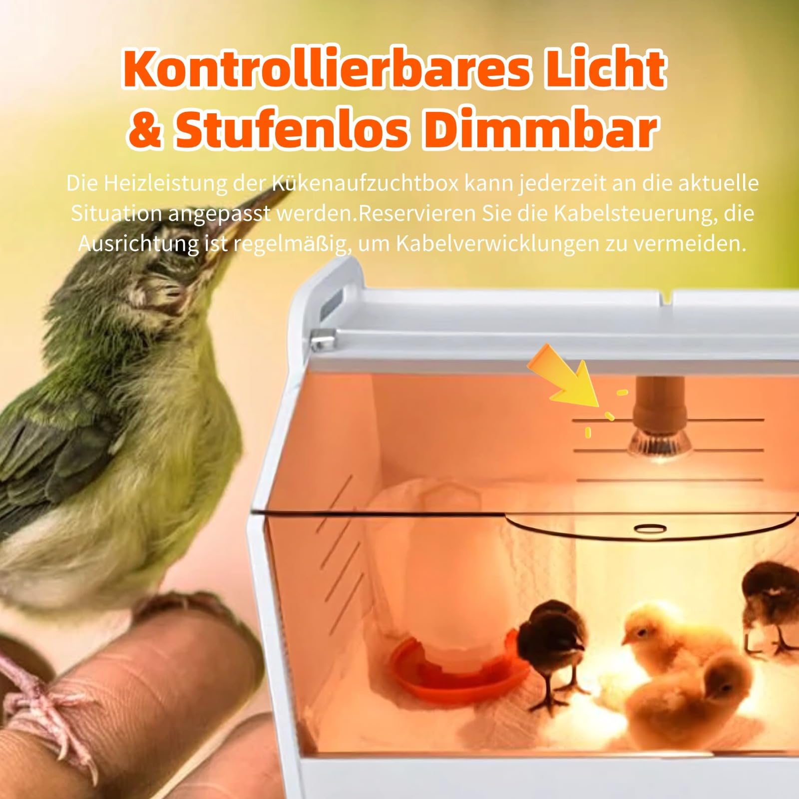 Geflügel Kükenbrüter Brutbox Ausrüstung,Tech Kükenaufzuchtbox Komplettset,Kleintiere Manuelle Inkubatorheizung, mit Transparente Öffnung,Hühnerbrutkasten Heimbrutkasten für Hühnerenten,Vögel