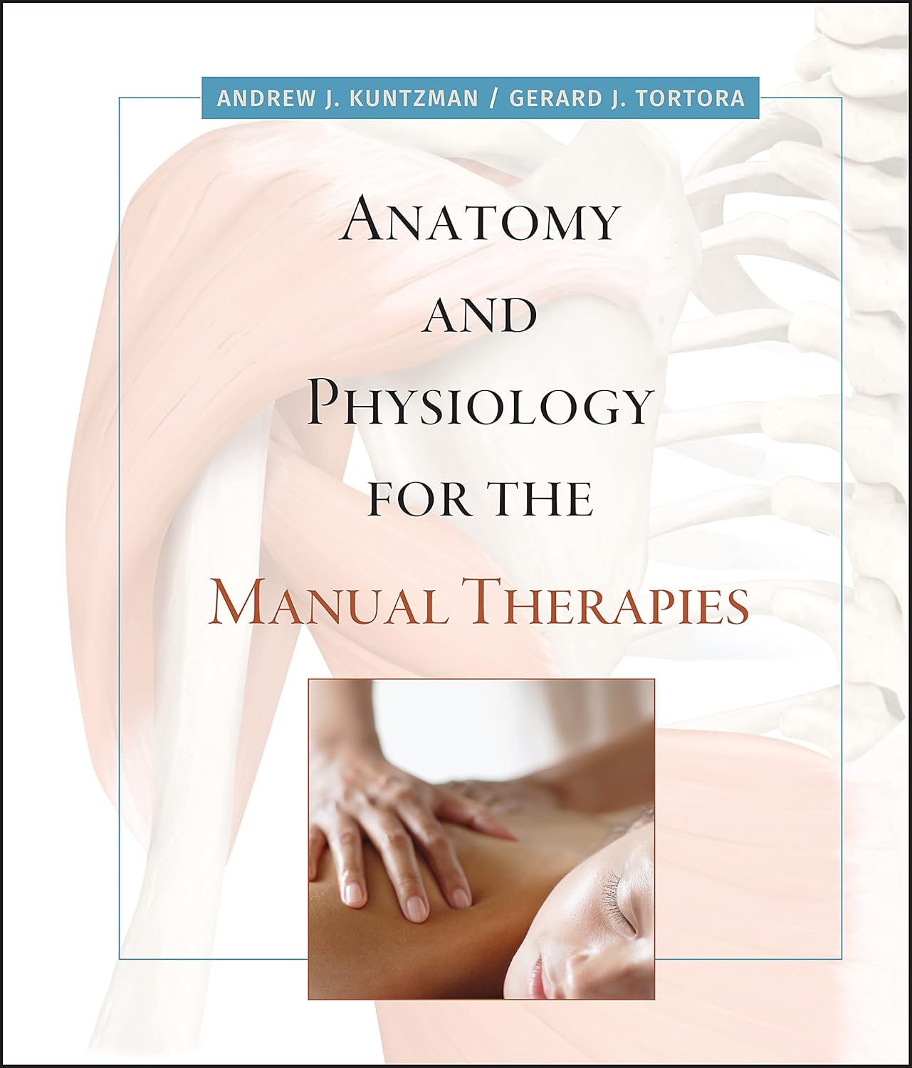 Anatomy And Physiology For The Manual Therapies With Web Registration Card