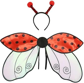 Ladybug Costume & Headband Set, Red, Kid/teen