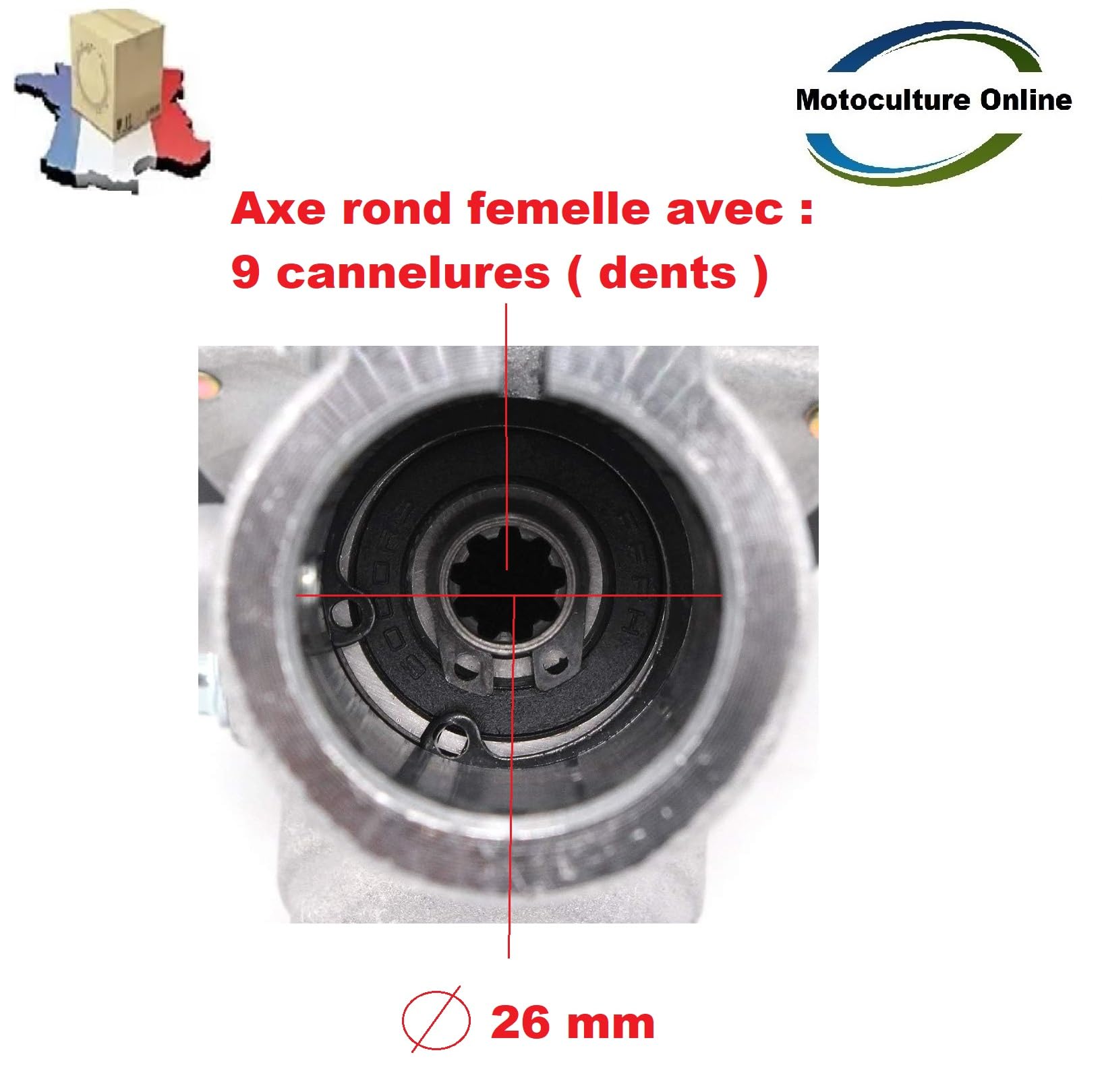 Pièce détachée d'origine constructeur: Renvoi d'Angle / tête de transmission 26 MM 9 DENTS pour Débroussailleuse / Coupe Bordure . Merci de vérifier votre modèle Avant achat Dimensions sur photos !