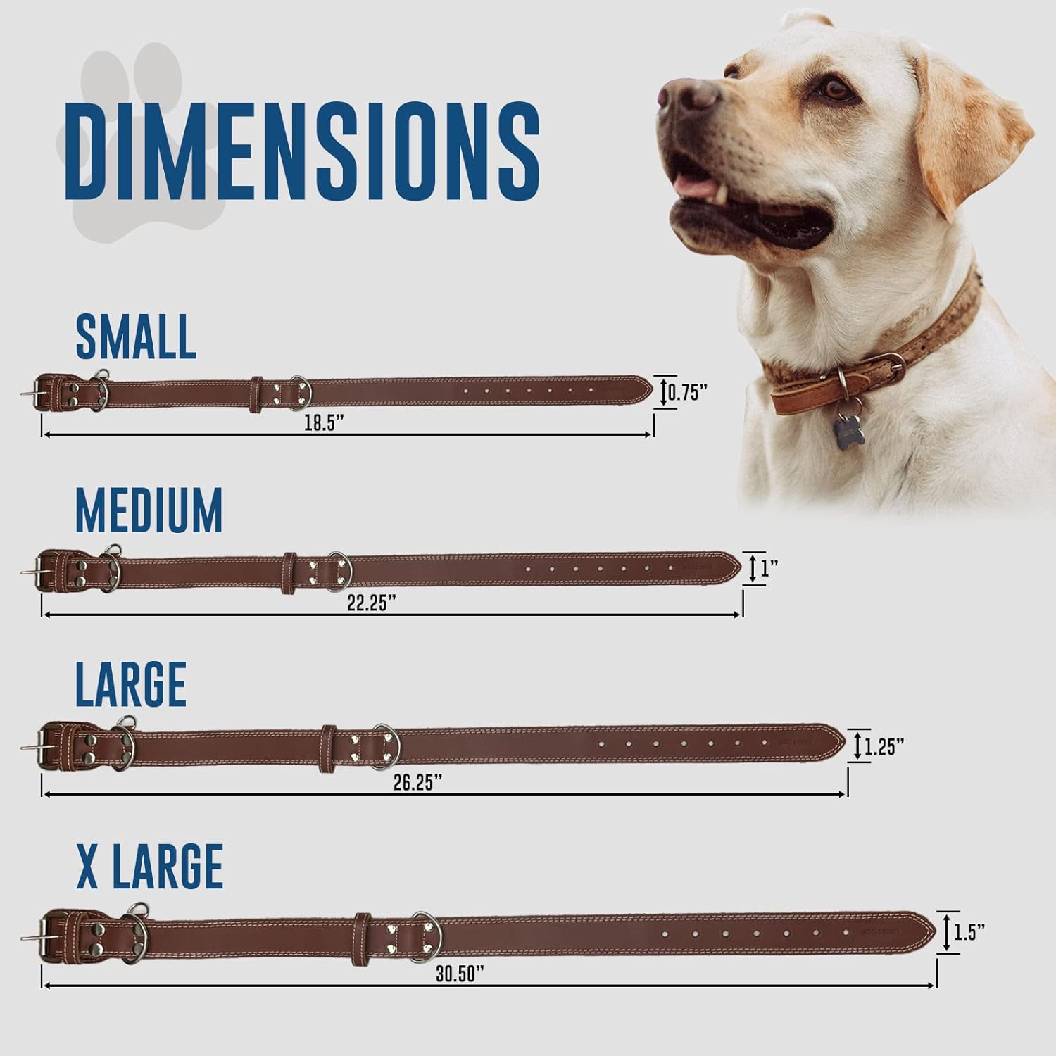 Hides & Knives Leather Dog Collar with Reinforced Hardware, Heavy Duty Dog Collars for All Breeds, Made of Top Grain Genuine Leather that is Soft & Durable (Brown, XL)