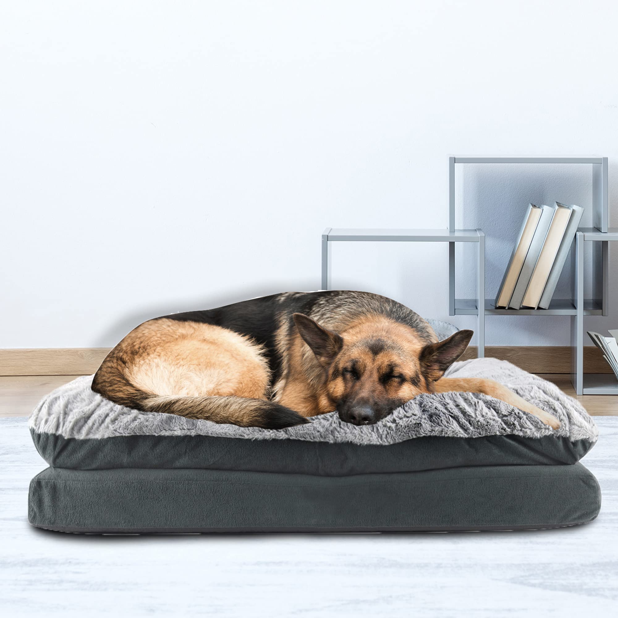 Paws & Claws Orthopädisches Hundebett – Größe L/XL, 101,6x76,2 Cm, Mit USA-Einsatz, Blau