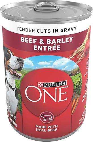 Purina ONE Dog Food