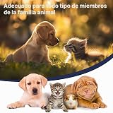 Ver la foto 6