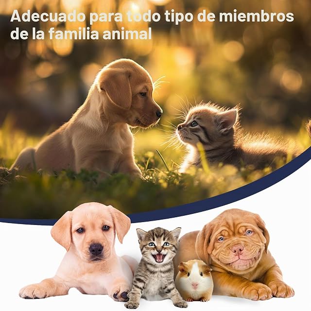 Foto 6 de 8 de Caja de Urnas para Cenizas de Mascotas para Memorial de Perro Extra Grande de Madera Urnas de Cremación…