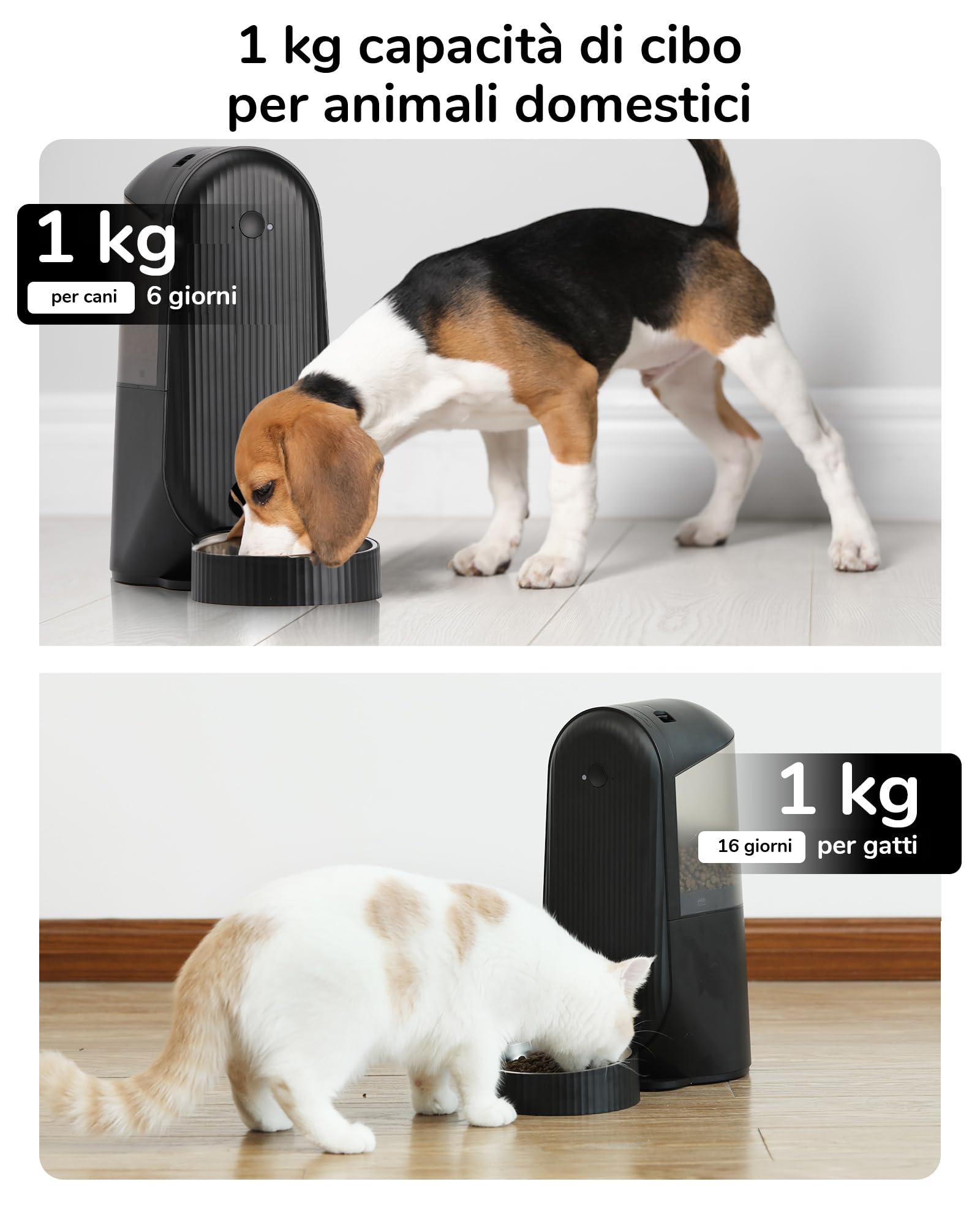 Distributore Automatico Cibo E Acqua Per Gatti 4L+5L - All-in-One - Foto 7