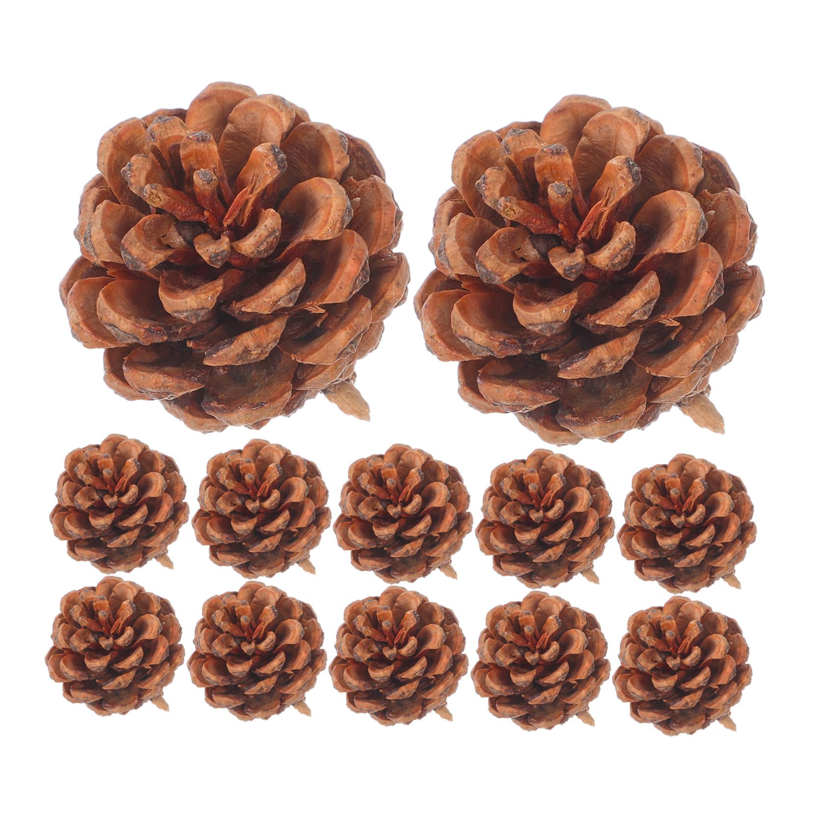 Mini pommes de pin naturelles de Noël et décoration de vase DIY
