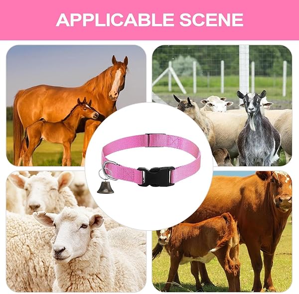 Collari di capra con campanellini, collare antiscivolo regolabile per capra – per animali domestici con fibbia a sgancio rapido e suono chiaro per collo di piccoli animali - 4