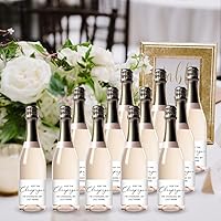 Vista 2 de POP the Champagne Estoy Cambiando Mi Apellido Etiquetas ● SET de 12 ● Etiquetas Mini para Botella de Champán de la Despedida de Soltera, Despedida