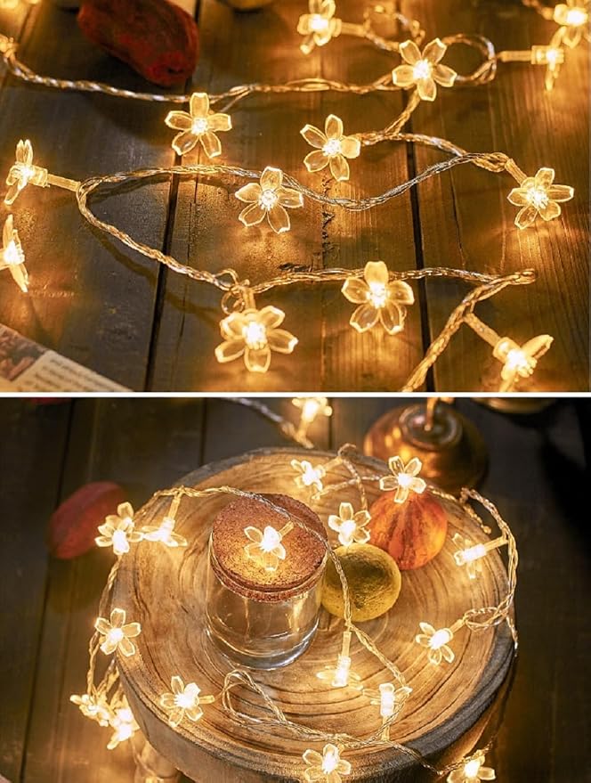 Luces de cadena con flores LED 10ft 20 luces USB miniatura 3