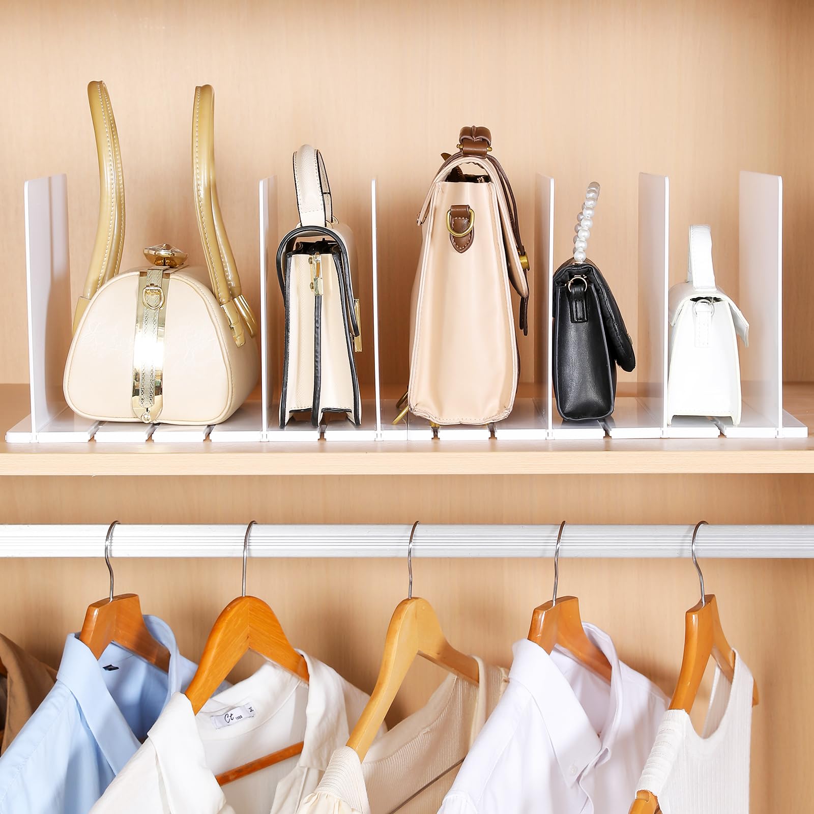 Armadio Organizzatore 6 Scaffale Maglioni Abbigliamento Sacchetto Di Immagazzina