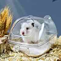 Bagno Sabbia Per Criceti Con Scaletta - Vasca Trasparente, Facile Da Pulire - Foto 6