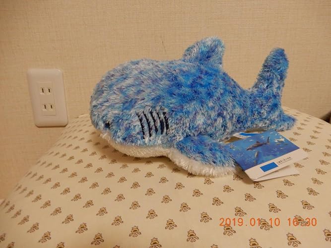 Amazon.co.jp: 沖縄美ら海水族館 ペタンコジンベエザメ M ぬいぐるみ