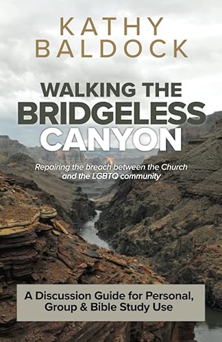 Walking the Bridgeless Canyon Discussion Guide: A Discussion Guide for Personal, Group &amp; Bible Study Use