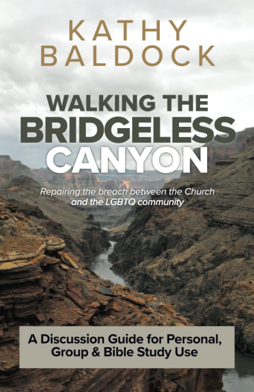 Walking the Bridgeless Canyon Discussion Guide: A Discussion Guide for Personal, Group & Bible Study Use: Repairing the breach between the Church and ... Guide for Personal, Group & Bible Study Use