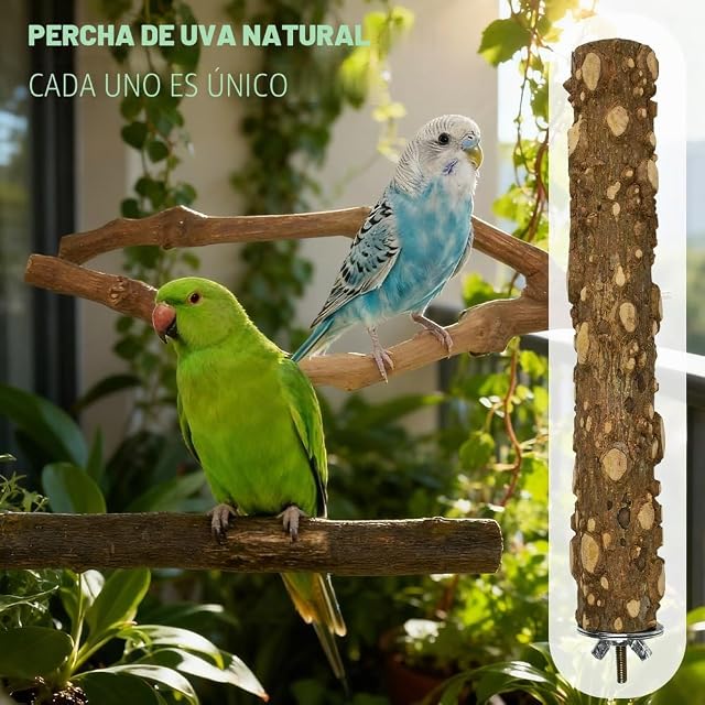 Foto 3 de 7 de 9 PCS Perchas Madera Natural Sin Tratar para Jaula Canarios Agapornis