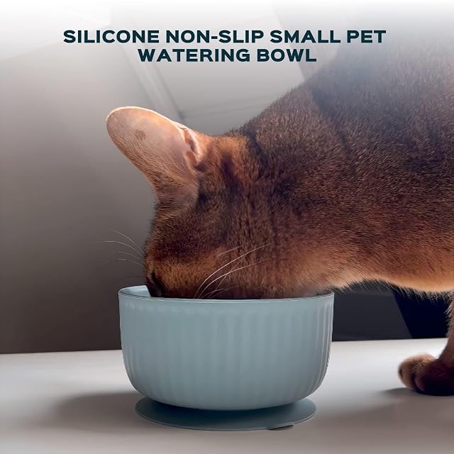 Foto 8 de 8 de Cuenco de Silicona Antideslizante para Mascotas pequeñas, Cuenco de Comida para Gatos