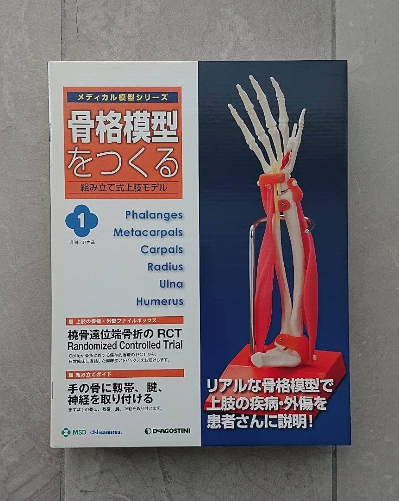 骨格模型をつくる　全4巻　ディアゴスティーニ Amazon.co.jp: ディアゴスティーニ メディカル模型 骨格模型を