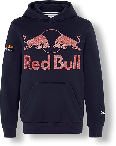 PUMA Red Bull Racing Double Bull - Sudadera con capucha para niño, azul,  164 cm: Amazon.es: Ropa