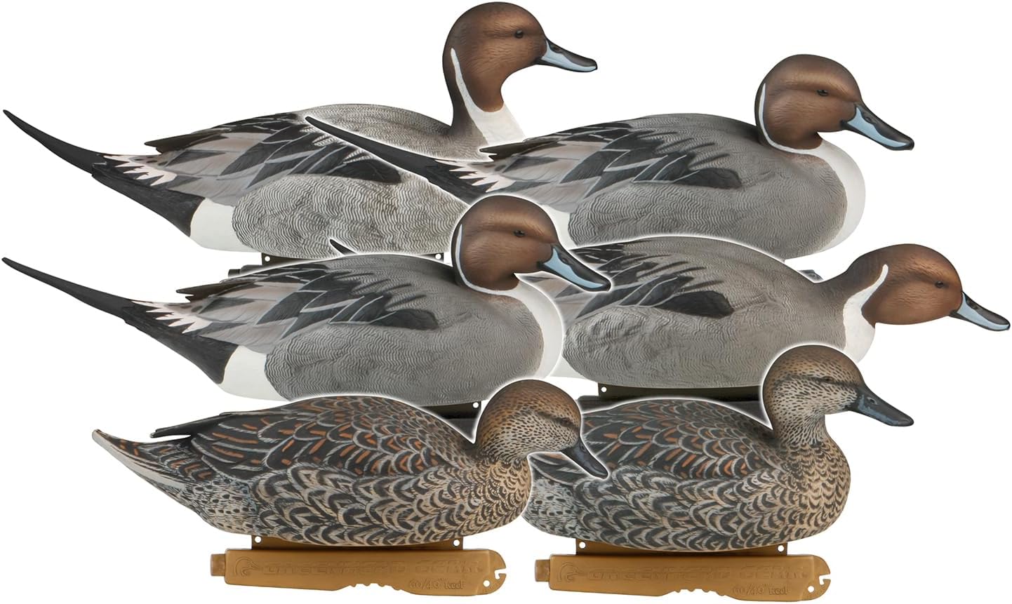 Avery GHG Pro-Grade Pintail Decoys, 6-Pack | Realistic Durable Waterfowl Hunting Floating Duck Decoys with 60/40 Forward Weighted Swim Keel | 4 Body Positions, Male & Female Ducks (73131)