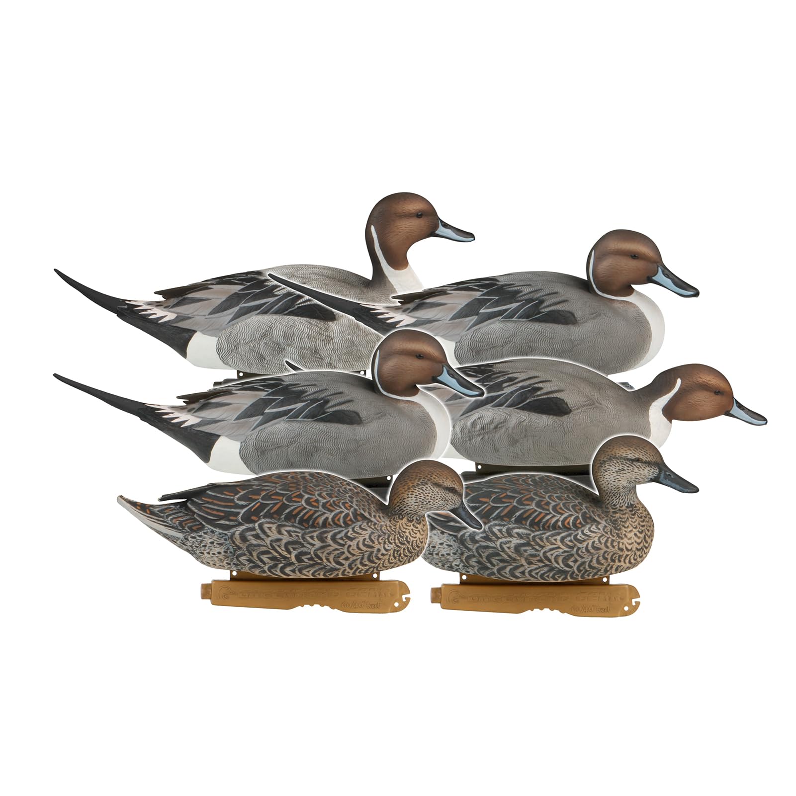 Avery GHG Pro-Grade Pintail Decoys, 6-Pack | Realistic Durable Waterfowl Hunting Floating Duck Decoys with 60/40 Forward Weighted Swim Keel | 4 Body Positions, Male & Female Ducks (73131)