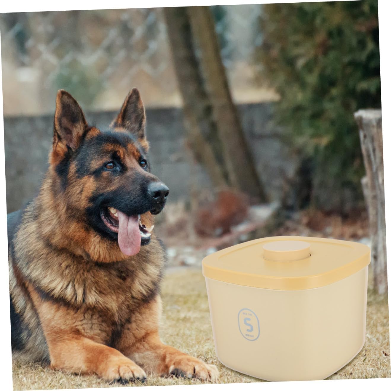 Mikikit Pet Food Storage Bin Large Airtight Container for Dog and Cat Food Moisture Design Stylish for Home Use