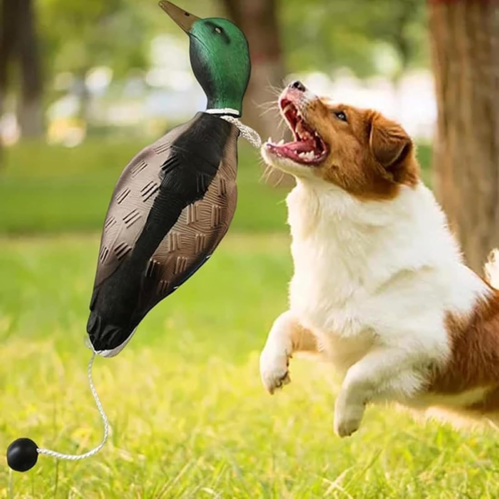 Dummy Duck Hundetraining Retrieve Schnuller Verschleißfest und bissfest, wasserdicht und schwimmfähig, robust und langlebig, geeignet für das Training von Welpen oder erwachsenen Jagdhunden