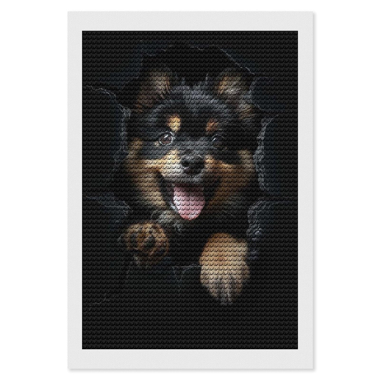 Junmoney Finnish Lapphund Diamond Painting Canvas Set 8"x12", Mindful Craft Activity, Nice Detail and Sparkle, Farmhouse Decor, Birthday Gift